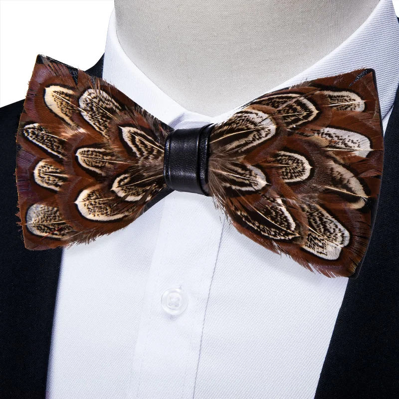 Affordable men's tie with patterns-YourTies Deep Brown Novelty Mens Pre-tied Bowtie Feather Bow Ties